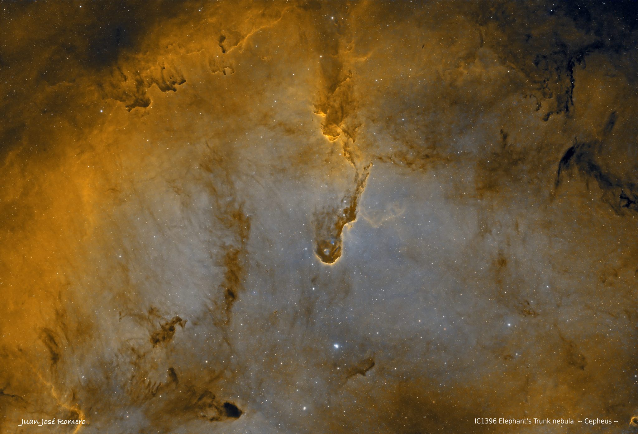 Fotografia astronòmica de IC1396, Elephant’s Trunk Nebula