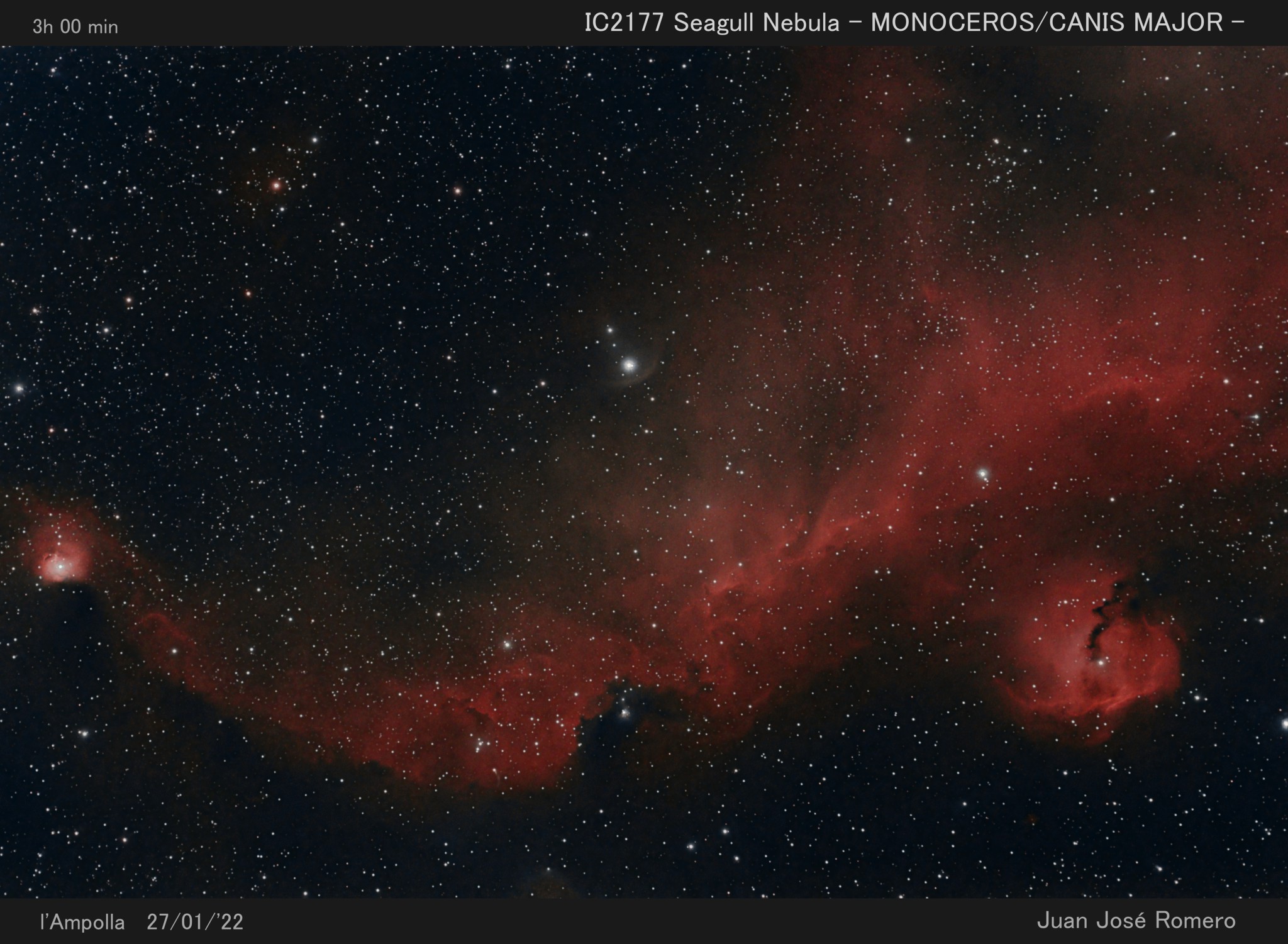 Fotografia astronòmica de IC 2177 – Nebulosa de la Gavina