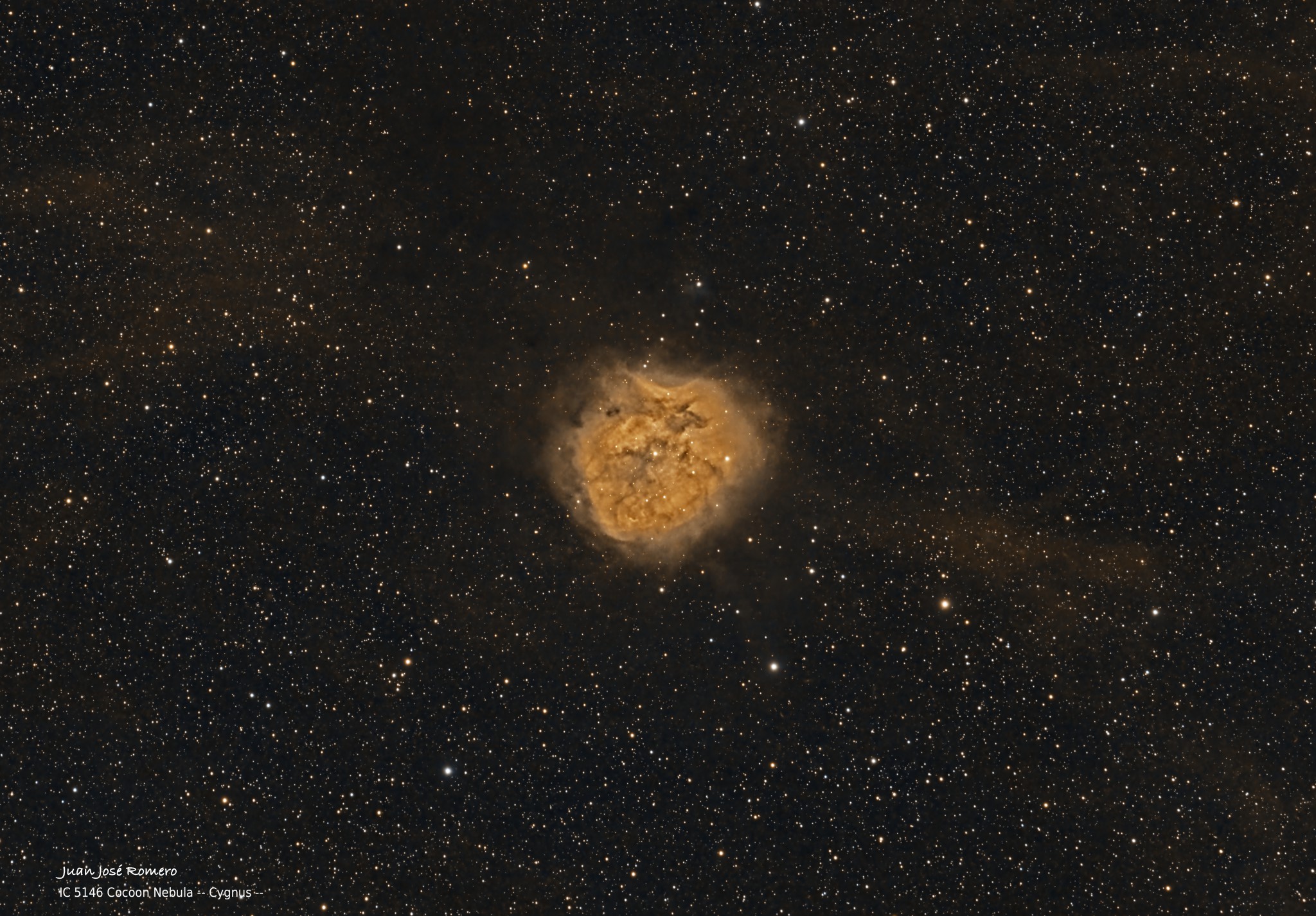 Fotografia astronòmica de IC5146 – Nebulosa del Capoll (SHO)