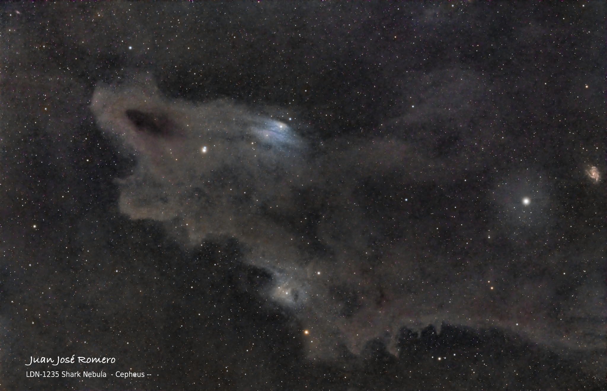 Fotografia astronòmica de LDN1235 – Nebulosa del Tauró
