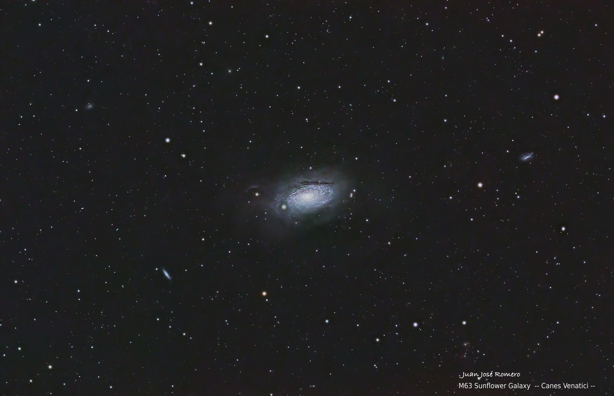 Camp de visió ampli: M63, Galàxia del Gira-sol