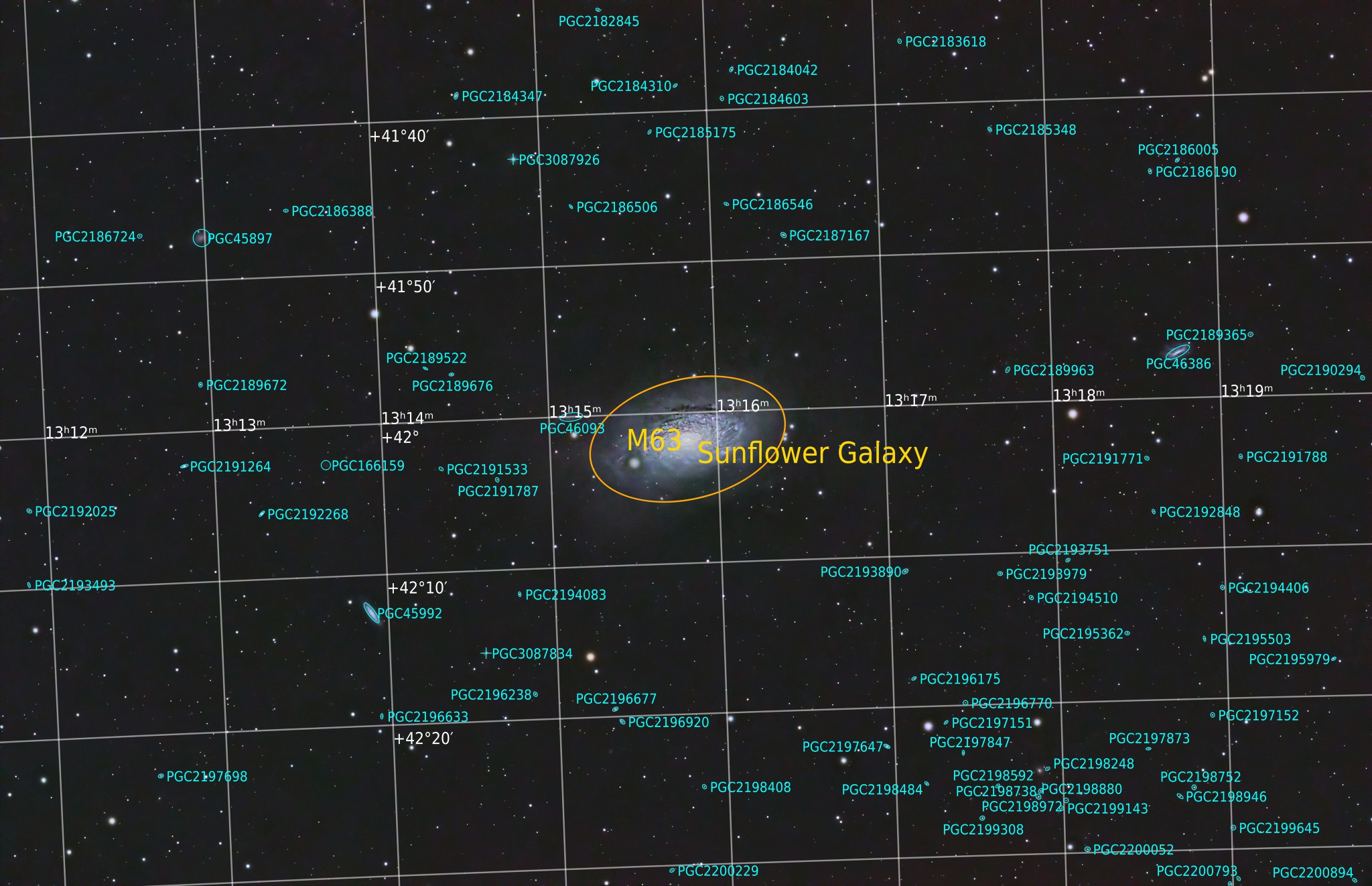 Objectes identificats: M63, Galàxia del Gira-sol