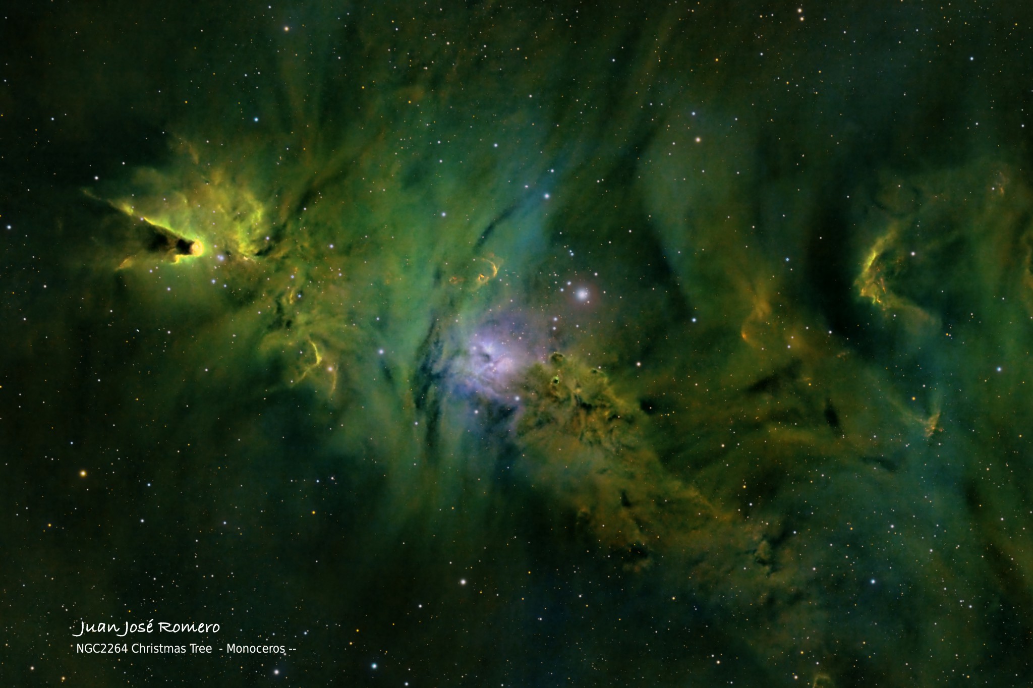 Processament alternatiu: NGC2264 – Cúmul de l'Arbre de Nadal i nebulosa del Con