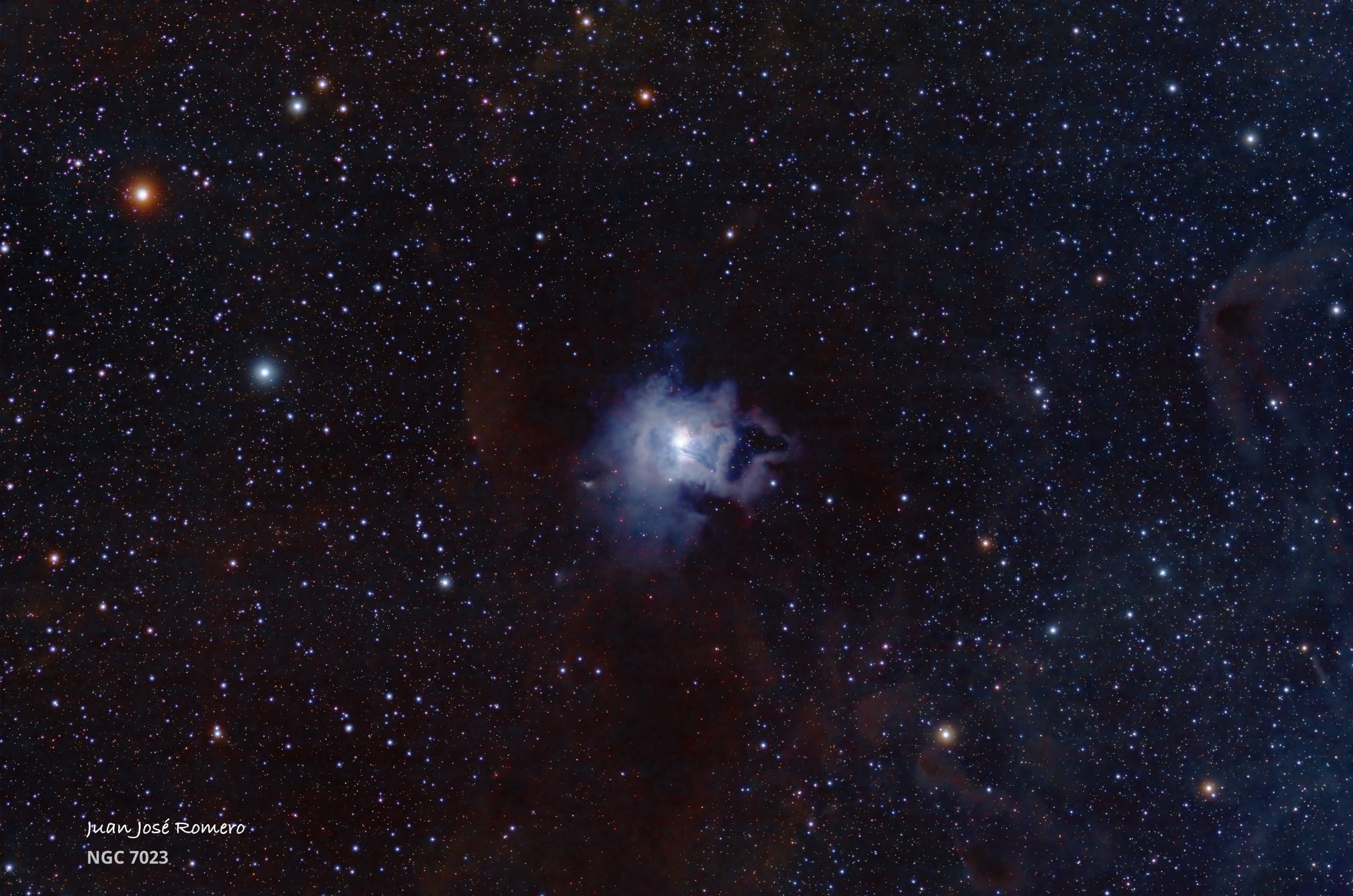 Camp de visió ampli: NGC 7023 – Nebulosa de l'Iris