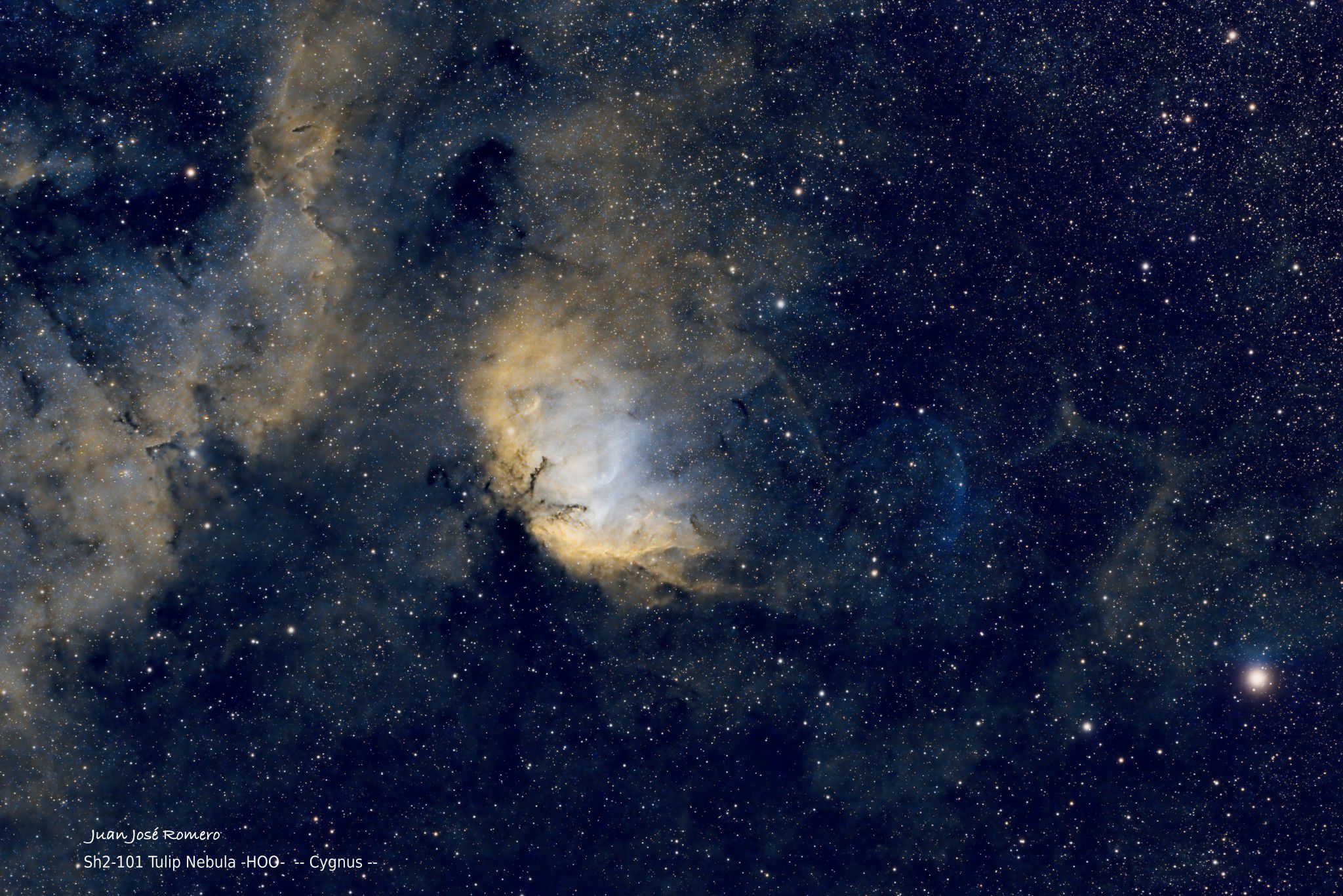 Fotografia astronòmica de Sh2-101 – Nebulosa del Tulipà