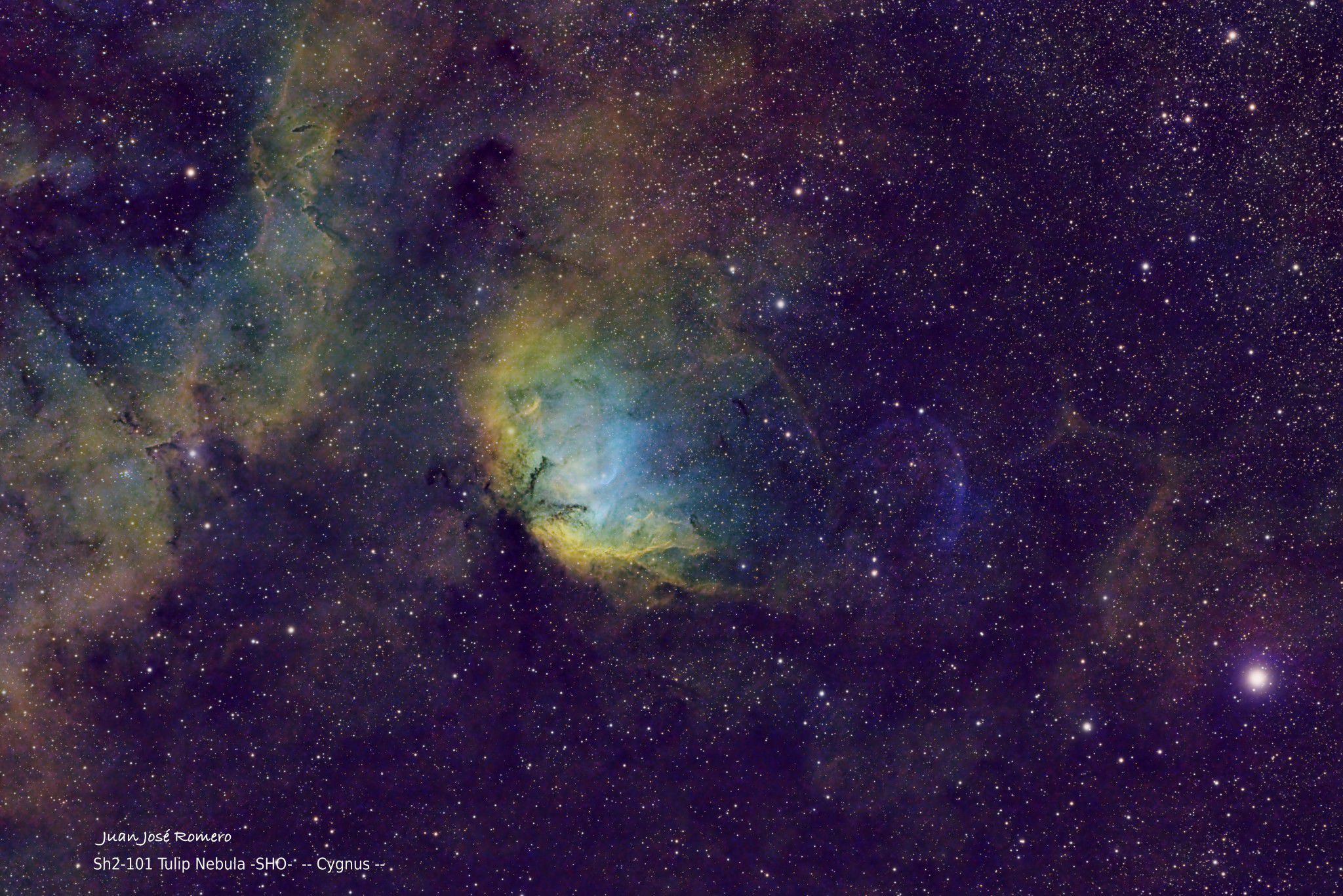 Composició SHO: Sh2-101 – Nebulosa del Tulipà