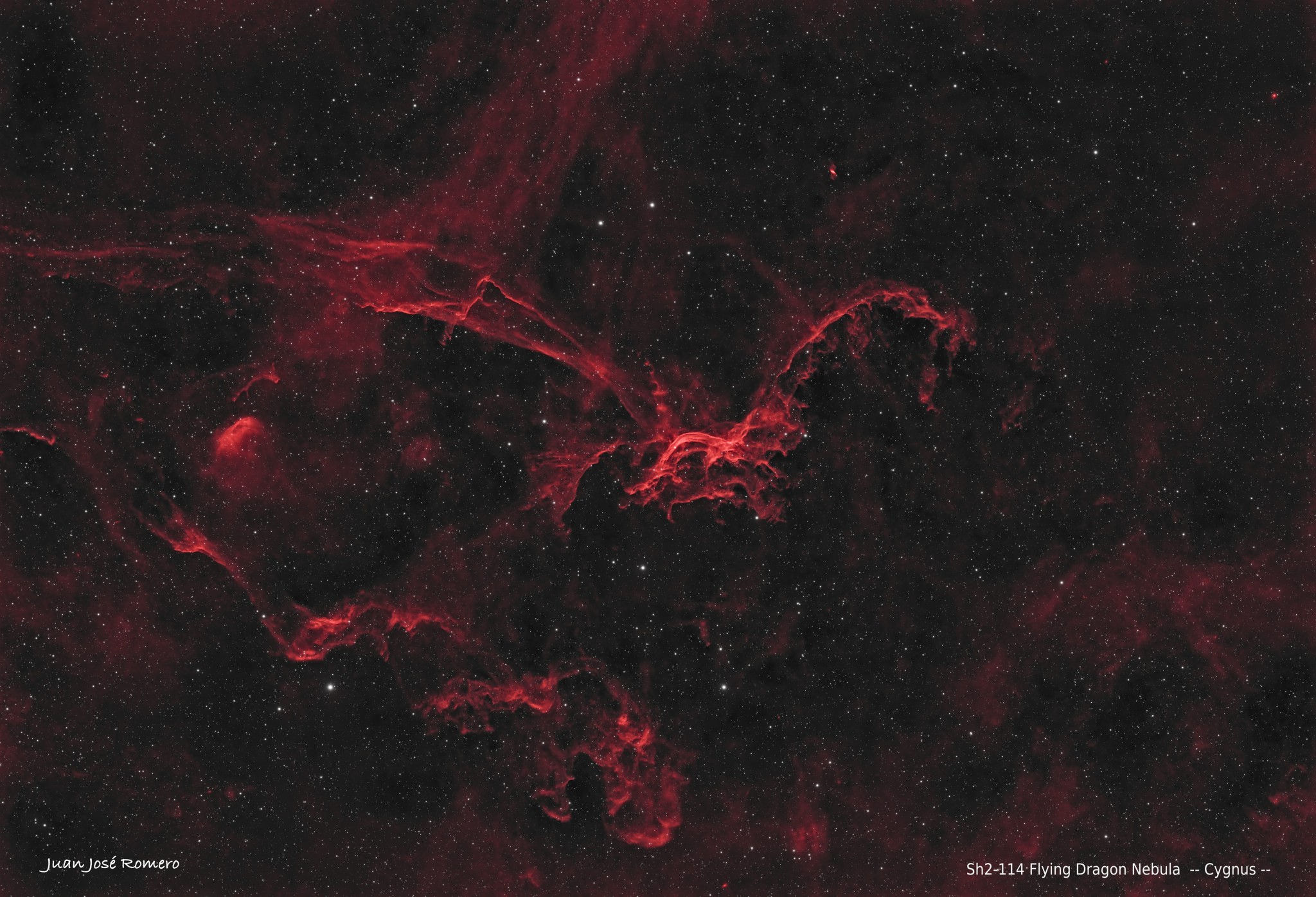 Fotografia astronòmica de Sh2-114 – Nebulosa del Drac Volador