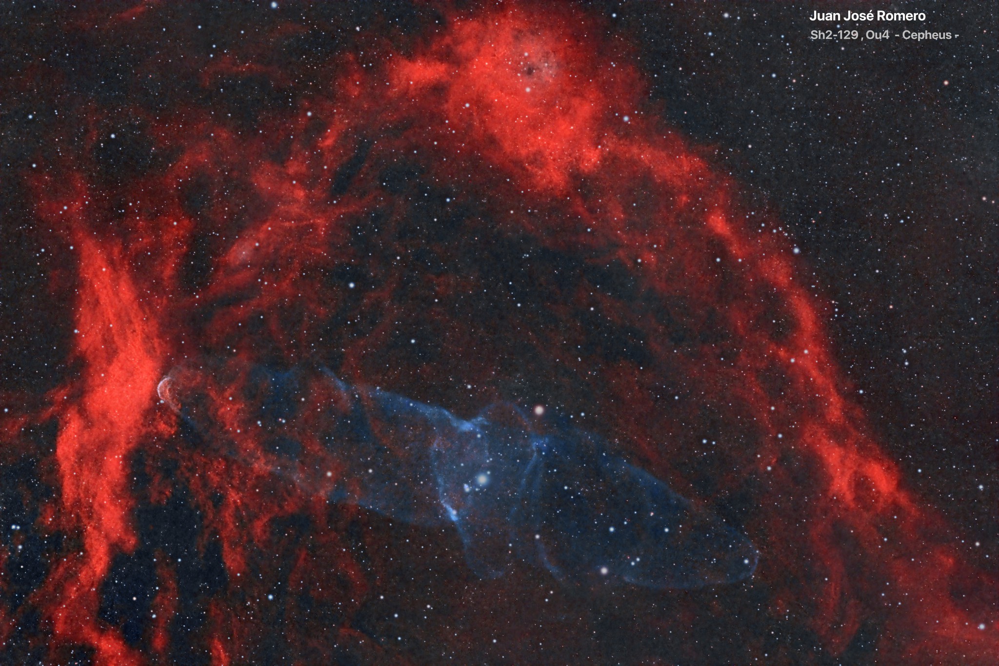 Fotografia astronòmica de Sh2-129 – Nebulosa del Ratpenat Volador i Ou4 – Nebulosa del Calamar
