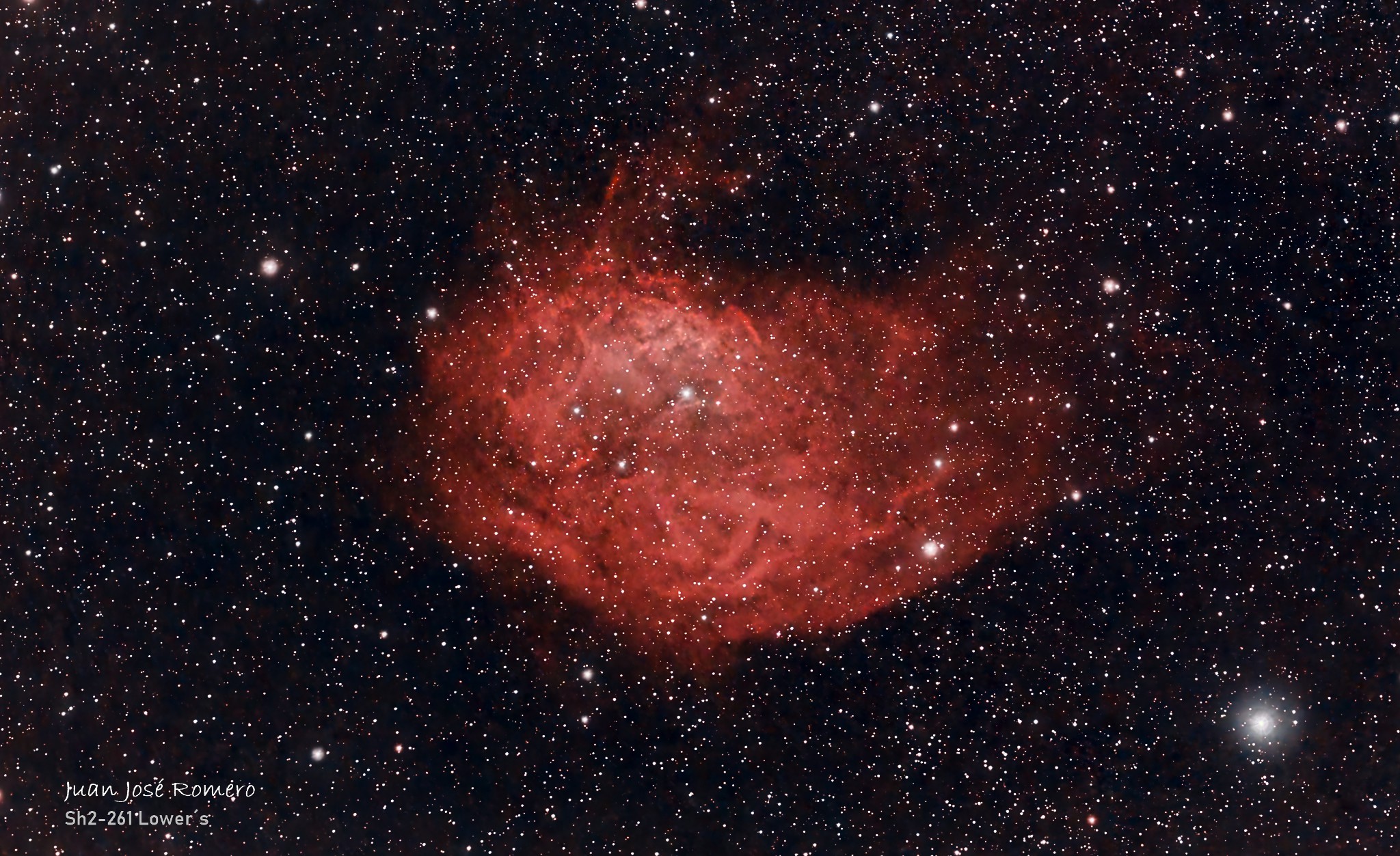 Fotografia astronòmica de Sh2-261 – Nebulosa de Lower
